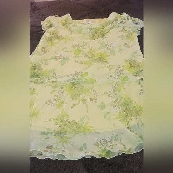 dressbarn Other - Dressbarn Green Top And Skirt